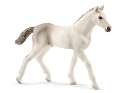 holfstynsky kun hribe 46469