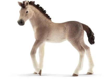 andalusky kun hribe 43022