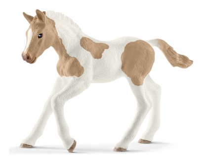 knabstrupsky kun hribe svetle 59948