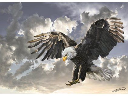 puzzle cerna a bila 500 dilku 172161