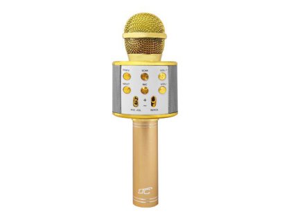 Detský karaoke mikrofón LTC LXMIC100R Gold