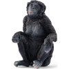 wild life 14875 simpanz bonobo samice 230585