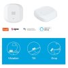 WOOX R7081, Smart Vibration Sensor ZigBee