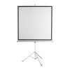 SBOX Projector SCREEN Tripod PSMT-96-2 172x172cm