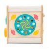 PL105 Petit Activity Cube Weather Wheel