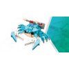 41208 1.crab