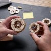 Ugears 3D drevené mechanické puzzle Traktor Wins