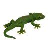 MJ381078 Gecko 1