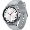 Samsung Galaxy Watch6 Classic 47mm LTE SM-R965F Silver
