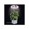 Rastúca lampa EMOS Z7902 Grow 8W