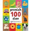 prvnich 100 slov 137540