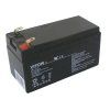 Batéria olovená 12V 1.3Ah VIPOW BAT0213