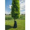 3547399 2 zalevaci vak na stromy 85l2