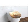 82373 sea star duroplast 4