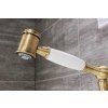 Chambord R202 se sprchou Chrom