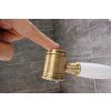 Chambord R202 se sprchou Chrom