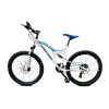 Celoodpružený bicykel Capriolo GTX 260 26"/21HT bílé