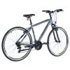 Trekový bicykel Arezzo AWIS Pánske, 2023-1 /28"/20,5"/