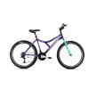 Horský bicykel Capriolo DIAVOLO DX 600 26"/19HT fialovo - tyrkysová,