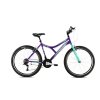 Horský bicykel Capriolo DIAVOLO DX 600 26"/18HT fialovo tyrkysový  17"