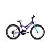 Horský bicykel Capriolo DIAVOLO 400/18HT fialové 2023