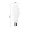 LED žiarovka Filament ED90 / E40 / 36 W (327 W) / 6 000 lm / neutrálna biela