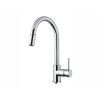 alveus vela p 1132183 chr