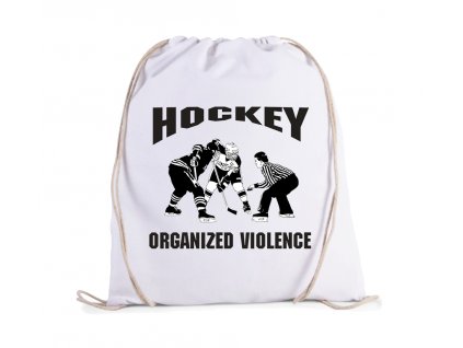 Vak Hokej organizované násilí