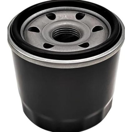 Filter oleja Segway Snarler AT6 F01G00500001