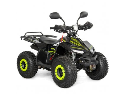 quad asix muddy 110cm3