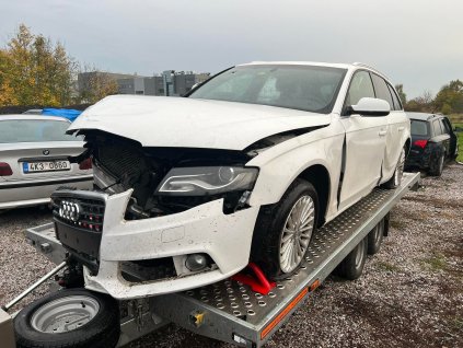 314153438 886966088938926 8765587284544009967 n