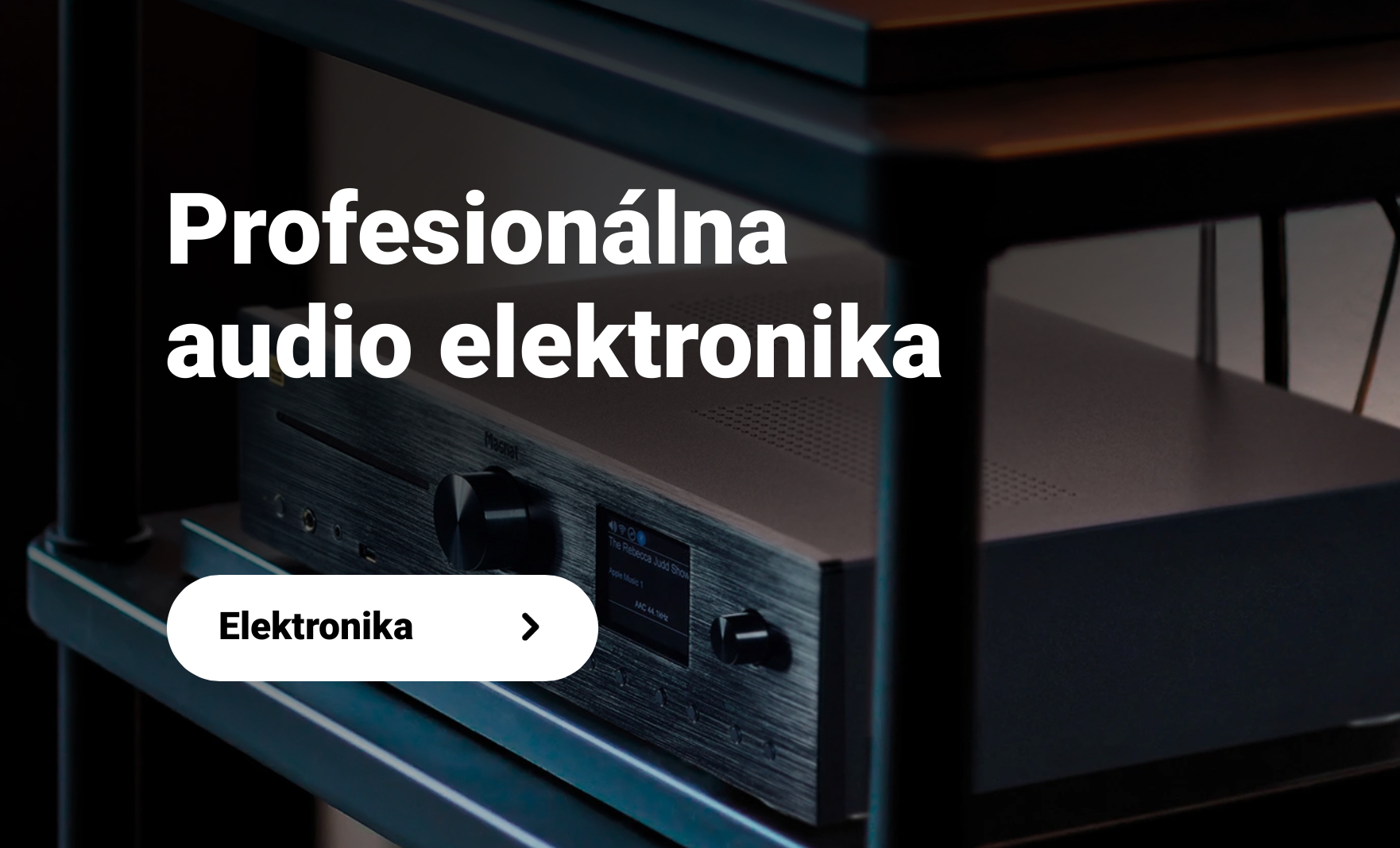 Profesionálna audio elektronika