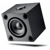 1123 5 focal cub evo