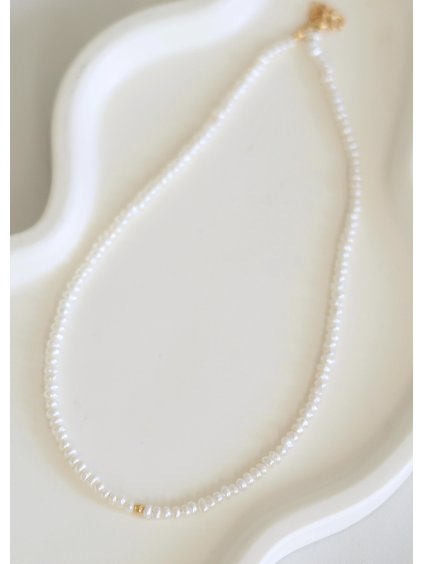 A561C80C C2BC 401C 9370 E9CB9869D03D