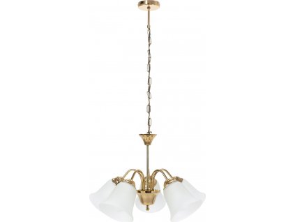 TOOLIGHT ZÁVĚSNÁ LAMPA VINTAGE | ZLATÁ