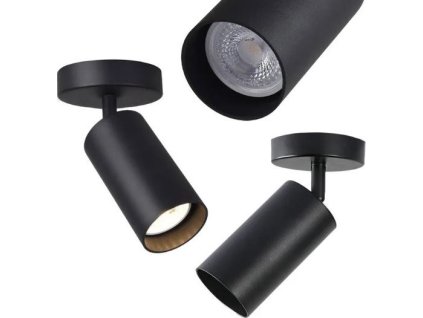 TOOLIGHT BODOVÉ STROPNÍ SVÍTIDLO APP1244-1C | ČERNÉ
