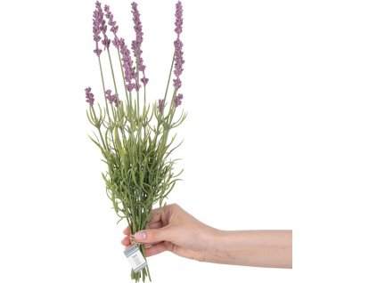 AMELIAHOME UMĚLÁ KVĚTINA LAVI | FIALOVÁ