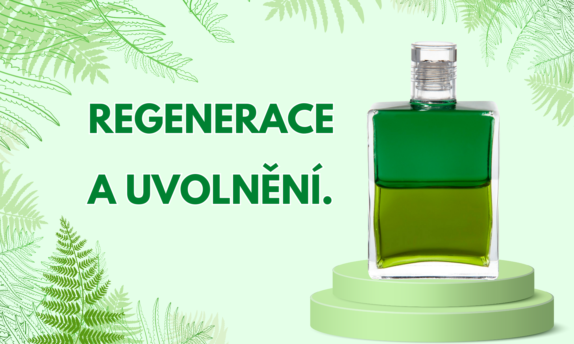 regenerace a uvlonění