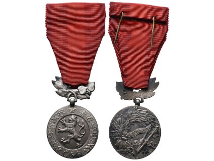 13023 1 13023 1 z081 g