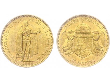 41856 41856 20 koruna 1899 kb