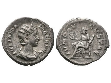 Julia Mamaea, Denár, RIC. 341