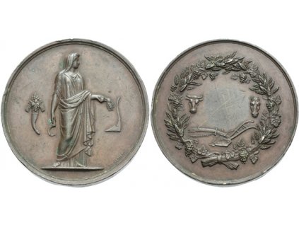 8301 8301 8301 francie zemedelska zasluzna medaile