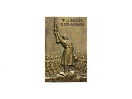 9111 9111 ae plaketa b l tj sokol plzen skvrnany