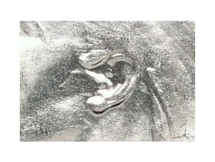 19008 1 19008 1 00291a g