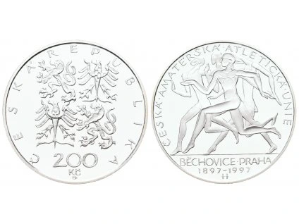 2484 2484 2484 091 g