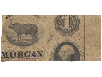 50299 1 50299 1 50299 1 9009a