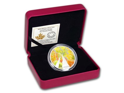 53421 1 53421 1 canopy5