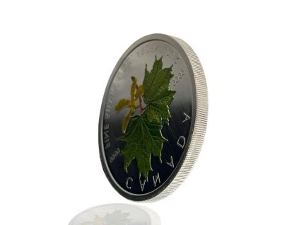 53991 1 53991 1 z133a g