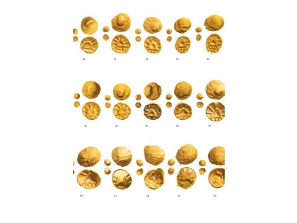 59856 5 59856 5 59856 5 bez nazvu 5