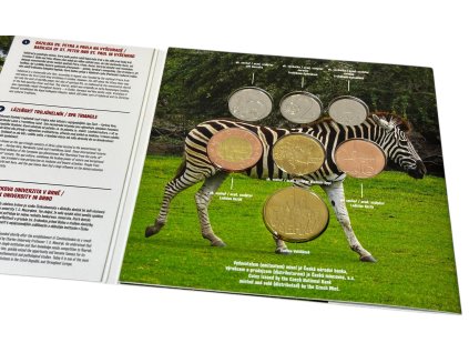 61516 1 61516 1 photoroom 019